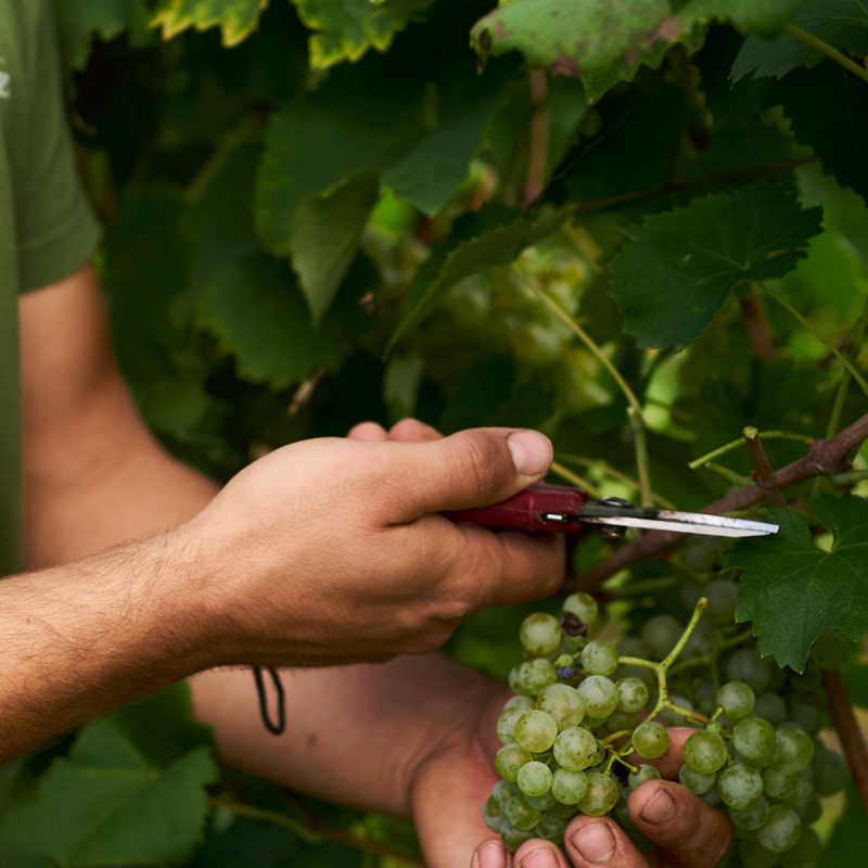 66d6e62b202628a378e75efd